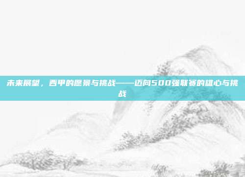 未来展望，西甲的愿景与挑战——迈向500强联赛的雄心与挑战