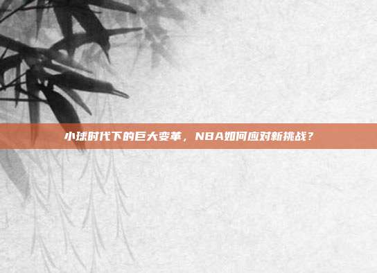 小球时代下的巨大变革，NBA如何应对新挑战？